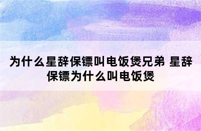 为什么星辞保镖叫电饭煲兄弟 星辞保镖为什么叫电饭煲